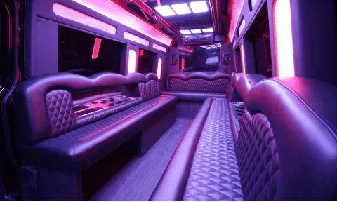 Mansfield 14 Passenger Sprinter Bus Interior